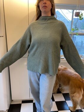 Massimo Dutti Sage Green Ribbed Mock Neck Sweater